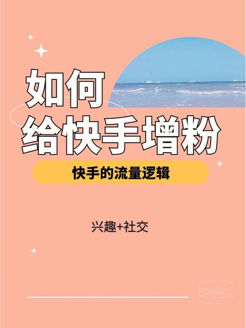 独家分享：我在快手刷粉平台的成功之路