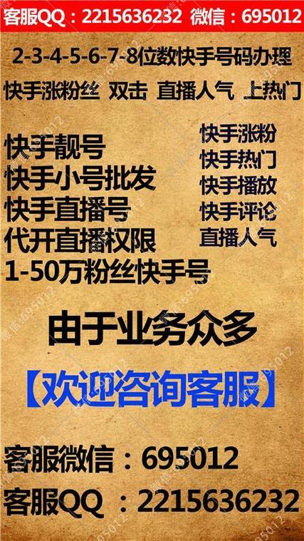 快手真人刷粉网站，助力短视频快速爆红