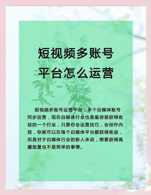 **标题：B站视频爆款秘诀：专业提升播放量的绝妙方法**