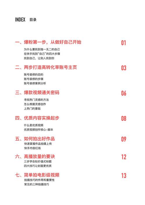 **快手带刷网实战指南：揭秘网红大咖的成长秘诀**