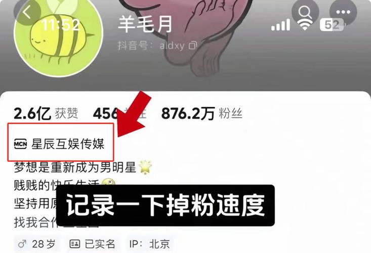 快手刷粉现象：网红经济下的泡沫与反思