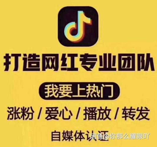 揭秘快手涨粉新途径：真人刷粉网站