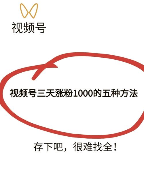 **揭秘视频号涨粉秘籍：揭秘背后的“秘密武器”，教你轻松吸引粉丝关注！**