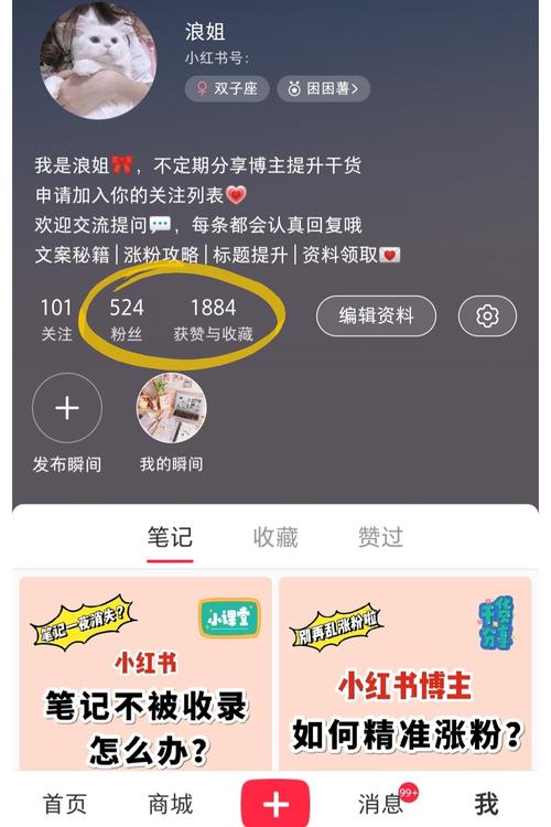 **标题：小红书账号自助购，开启高效分享新篇章！**