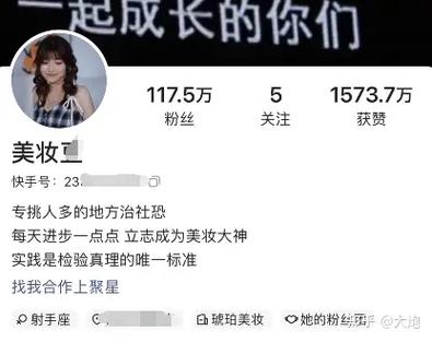 **快手吸粉秘籍大公开：专业工具助你粉丝飙升！**