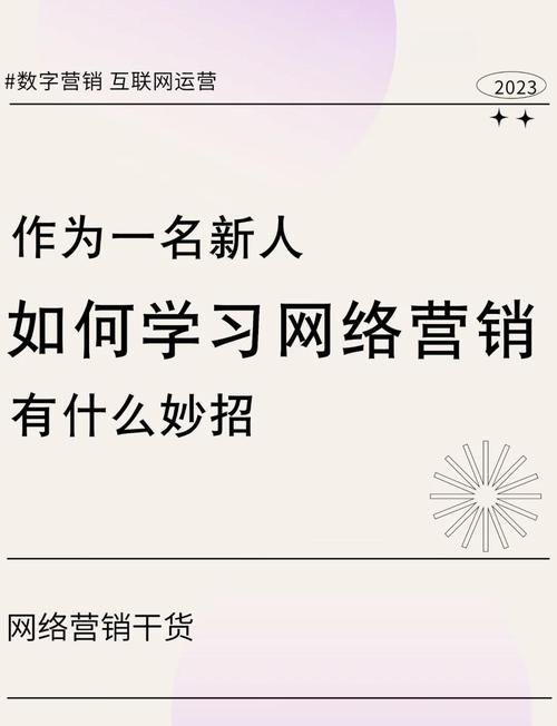 从零起步成为网红达人：小红书买粉丝平台的实战指南
