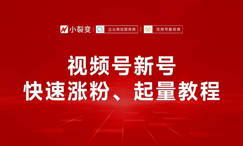 **揭秘：我如何通过精匠内容引爆视频号粉丝潮！**