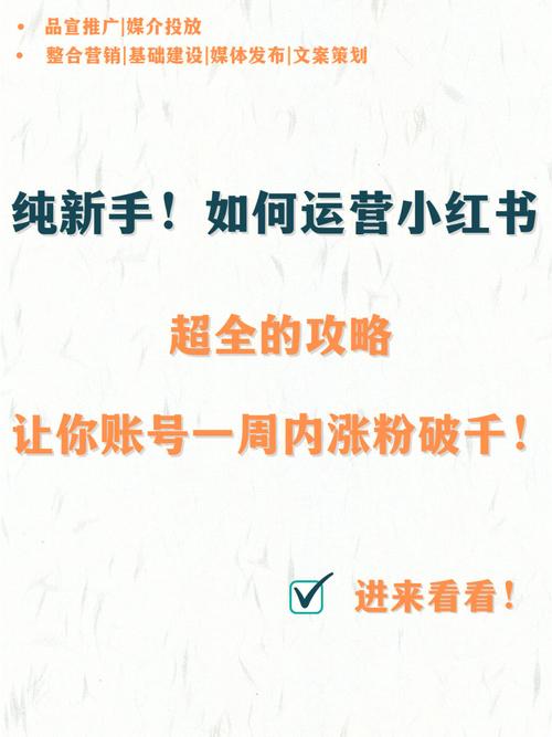 小红书买粉网站全解析：快速增粉的秘诀