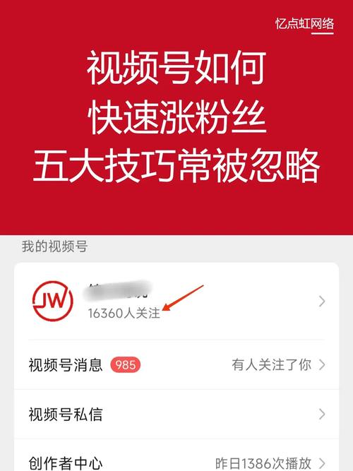 **标题：零成本涨粉秘籍：揭秘玩转视频号的独门绝技！**